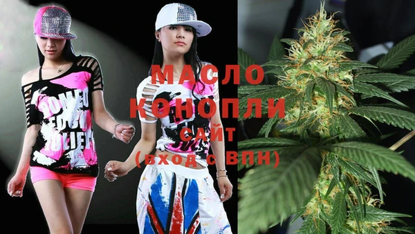хмурый Каменка