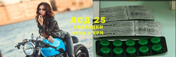 хмурый Каменка