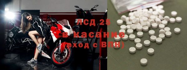 хмурый Каменка