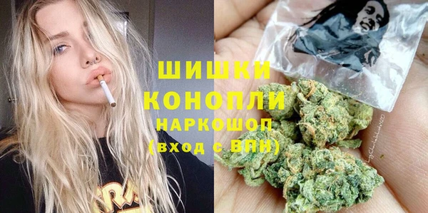 хмурый Каменка