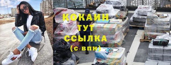 хмурый Каменка