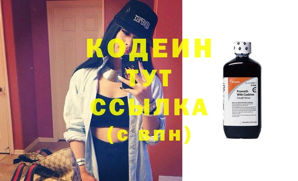 хмурый Каменка